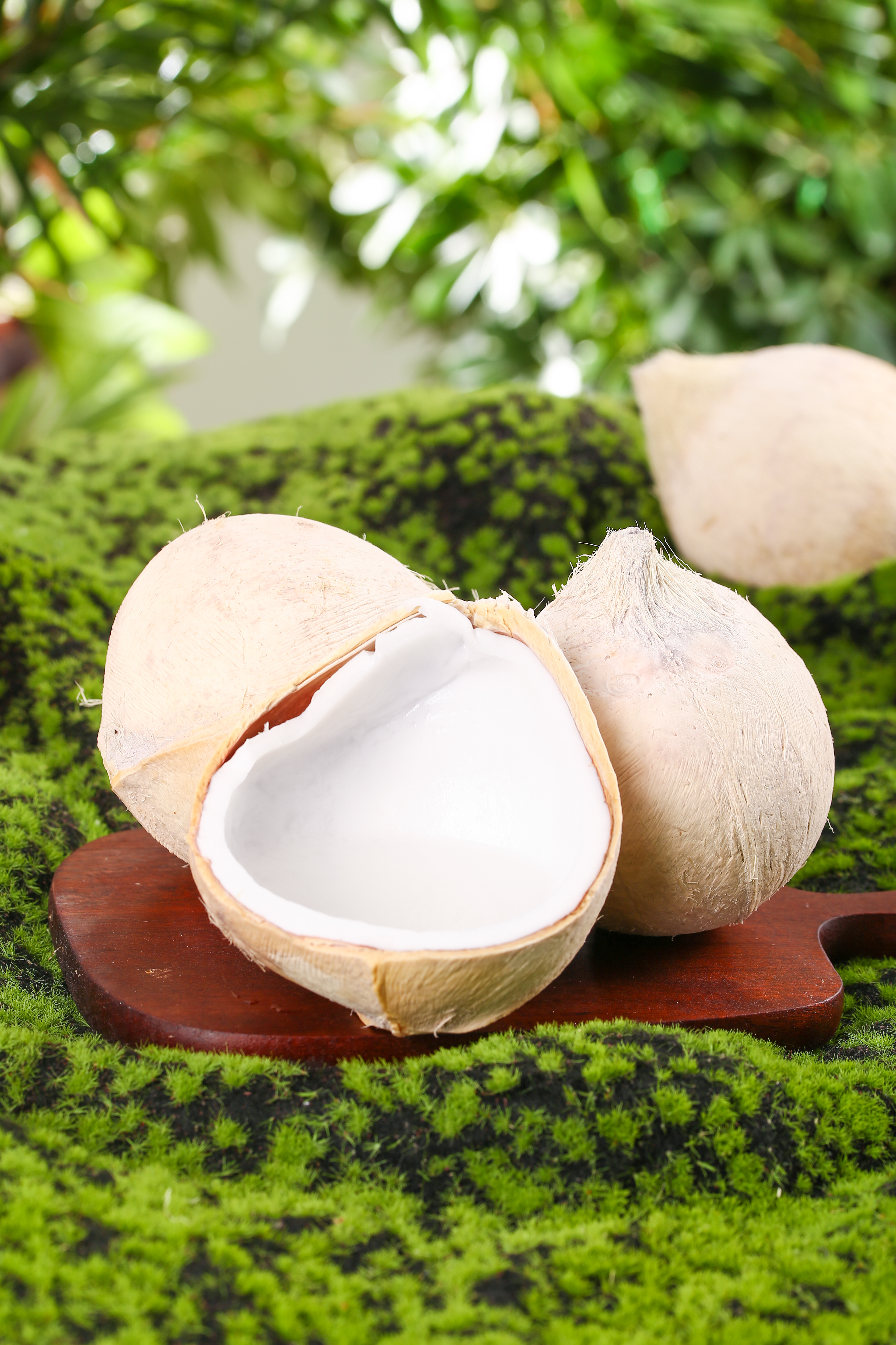 澳门电子游戏平台